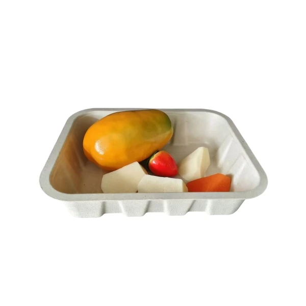Supermarket Fresh Meat Frozen Chicken Steak Tray