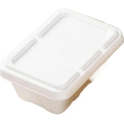 Bagasse kaas 4-compt konteinerile